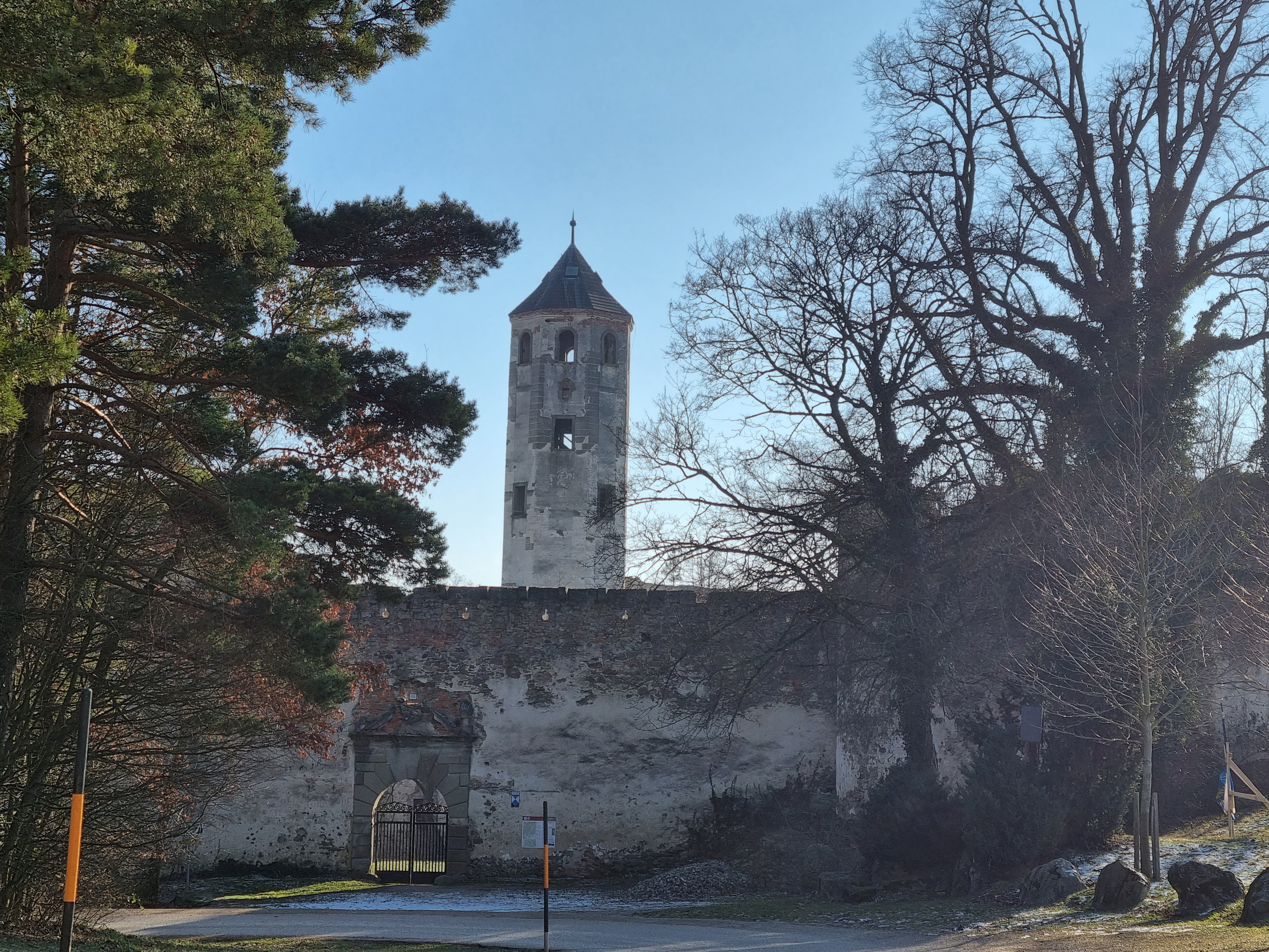 Ruine Hohenegg